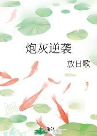 炮灰逆袭封面