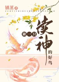 做一只渎神的好鸟封面