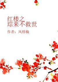 红楼之琮来不救世封面