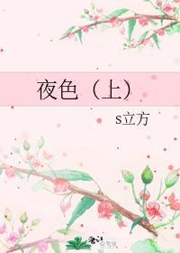 夜色封面