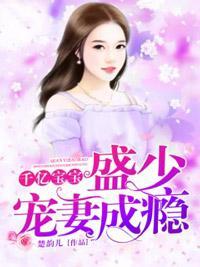 千亿宝宝：盛少宠妻成瘾封面
