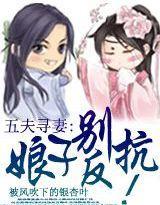 五夫寻妻：娘子别反抗封面