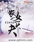 农女买夫封面