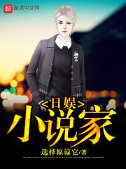日娱小说家封面