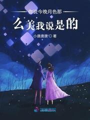 你说今晚月色那么美我说是的封面