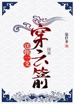 送你一支穿云箭（探案）封面