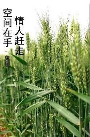 空间在手，情人赶走封面