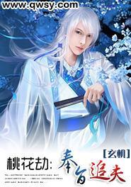 桃花劫：奉旨追夫封面