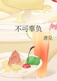 不可辜负封面