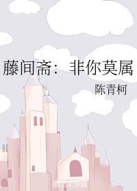 藤间斋：非你莫属封面