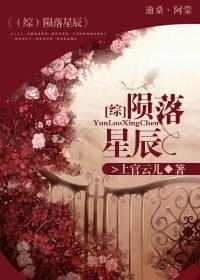 陨落星辰封面
