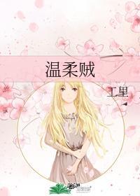 温柔贼封面