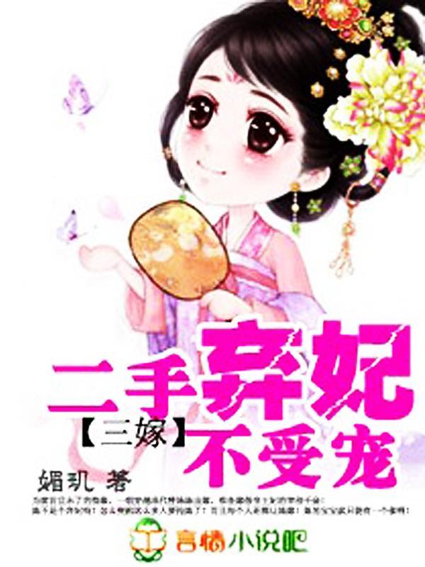 三嫁：二手弃妃不受宠封面