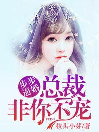 步步逼婚：总裁非你不宠封面