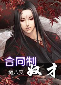 合同制奴才封面