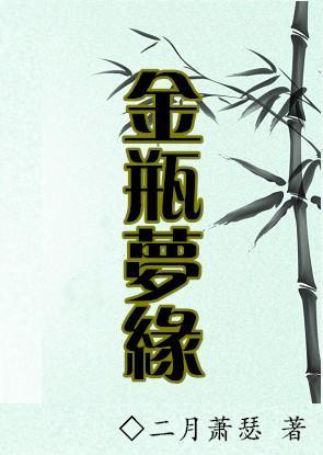 金瓶梦缘封面