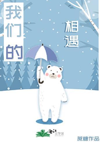 我们的相遇封面