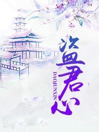 盗君心封面