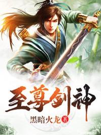 至尊剑神封面