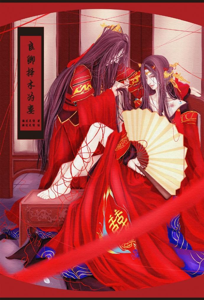 良卿择木为妻封面
