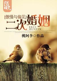 [傲慢与偏见]二次婚姻封面