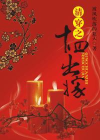 清穿之十四出嫁封面
