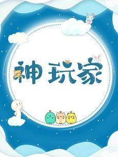 神玩家封面