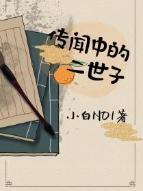 传闻中的二世子封面