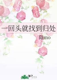 一回头就找到归处封面