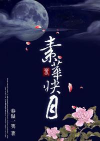 素华映月封面