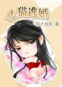 小猫逃婚记封面