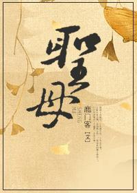 圣母封面