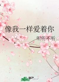 像我一样爱着你封面