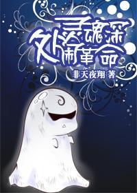 灵魂深处闹革命封面