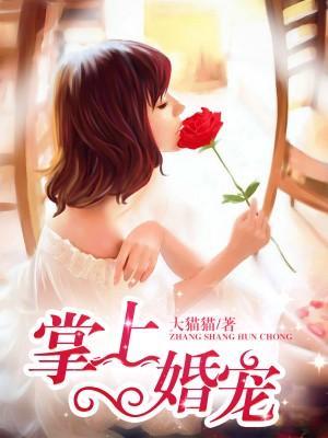 掌上婚宠封面