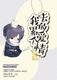 我累个去的爱情封面