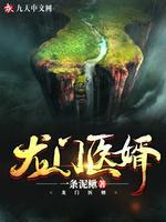 龙门医婿封面