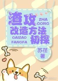 渣攻改造方法初探封面