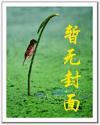 综漫：究极强者封面