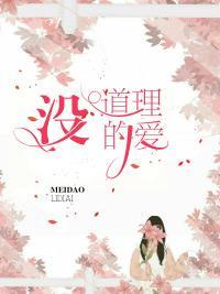 没道理的爱封面