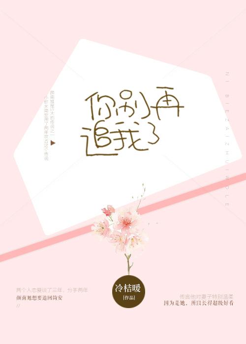 你别追我了封面