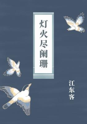 灯火尽阑珊封面