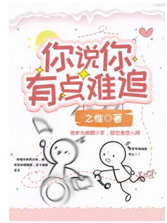 你说你有点难追封面