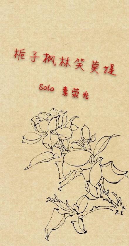 栀子枫林笑莫提封面