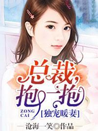 独宠暖妻：总裁，抱一抱封面