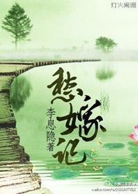 愁嫁记封面