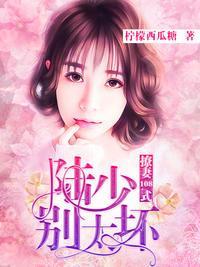 陆少撩妻宠上天封面