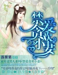 禁爱贪欢小妻封面