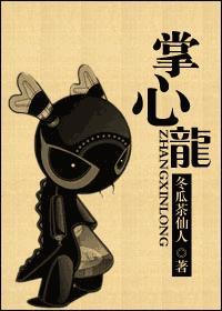 掌心龙封面