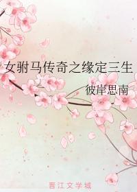女驸马传奇之缘定三生封面